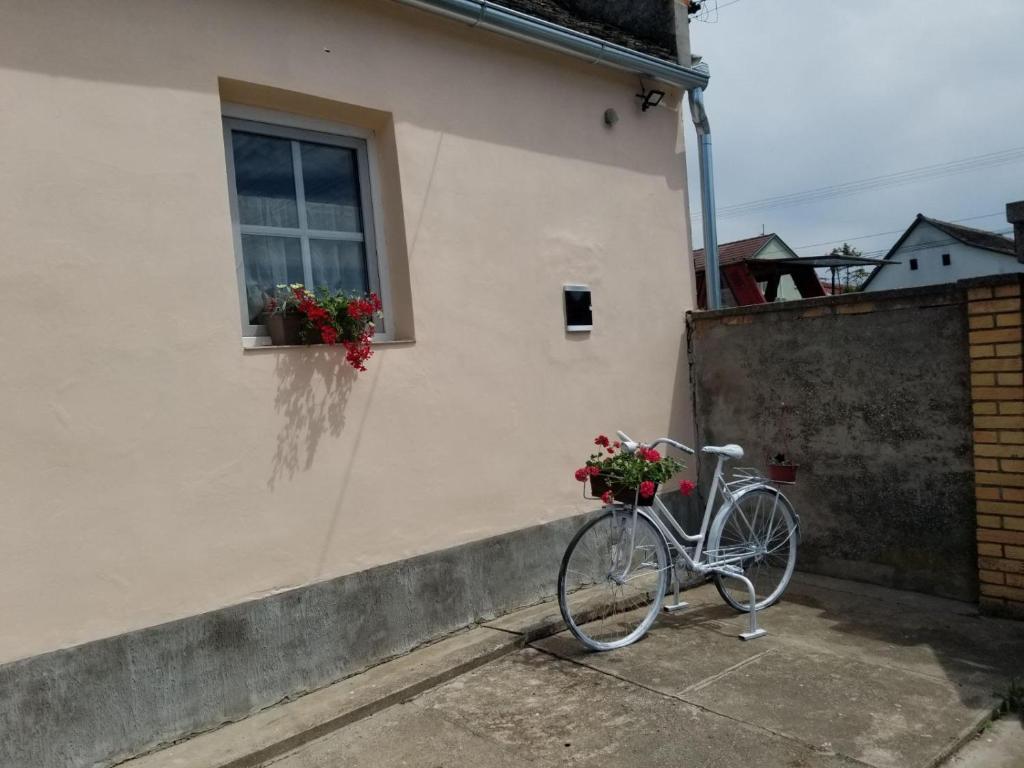 Jízda na kole v ubytování Apartmany Detvanka nebo okolí