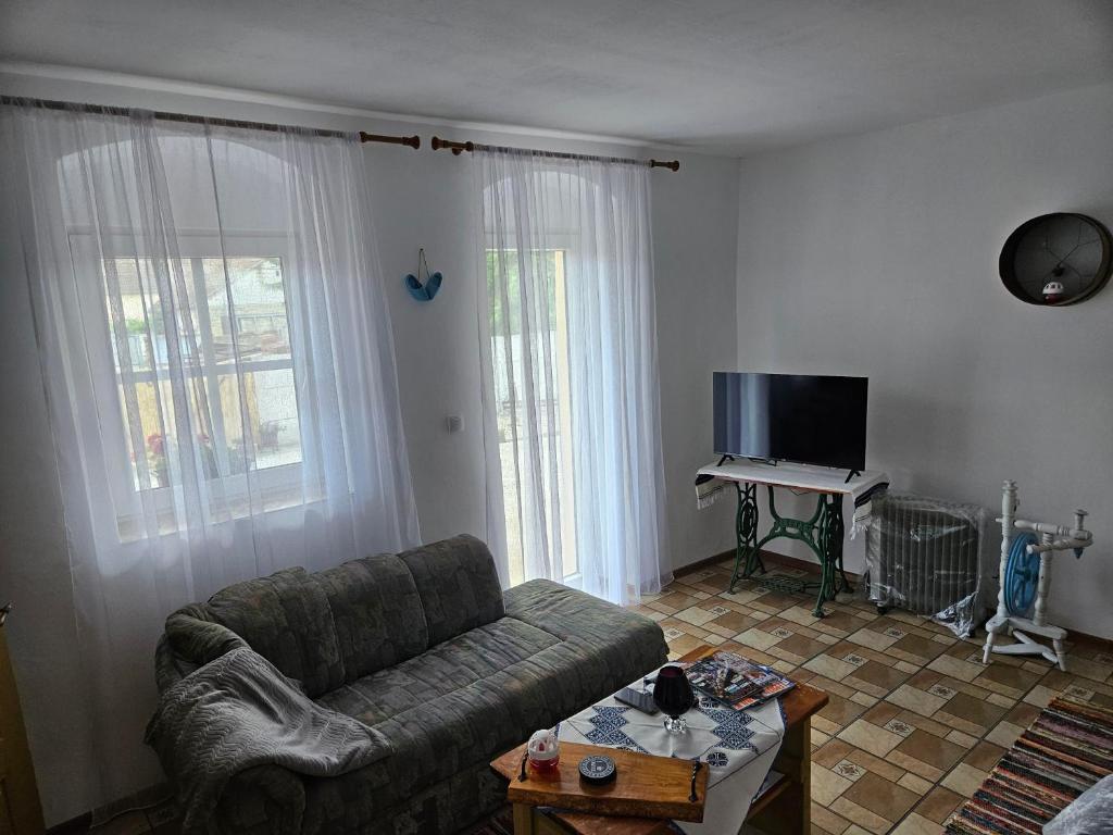 TV a/nebo společenská místnost v ubytování Apartmany Detvanka