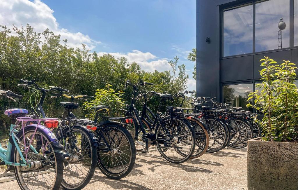 Jízda na kole v ubytování Vakantiepark De Zeeuwse Parel nebo okolí