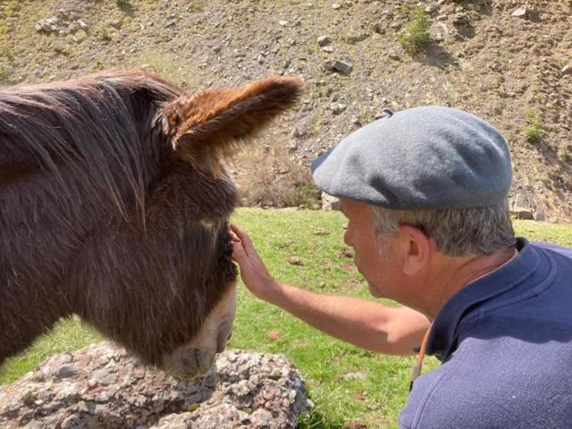 a man is petting a brown cow at Au Graé - Maison à louer à Laruns Béarn in Laruns