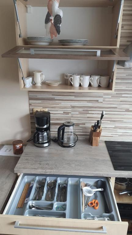 Kuchyň nebo kuchyňský kout v ubytování Apartmán U Pošty Králíky