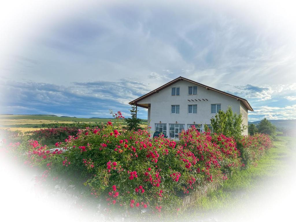 a white house with pink flowers in front of it at Sale&Pepe in Faraoaní