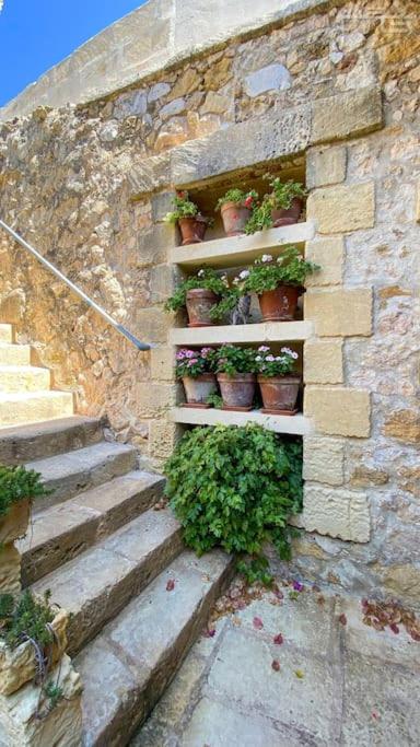 Fotografie z fotogalerie ubytování Mandy - The quaintest farmhouse on Gozo v destinaci Taʼ Abram