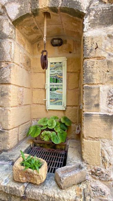 Fotografie z fotogalerie ubytování Mandy - The quaintest farmhouse on Gozo v destinaci Taʼ Abram
