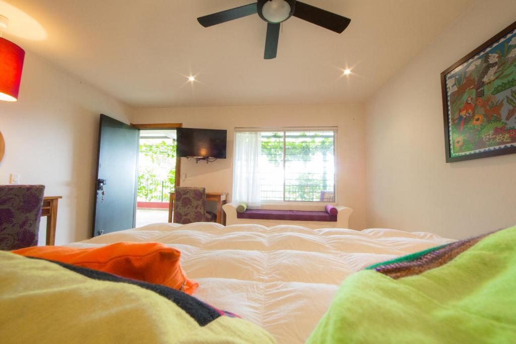 La Semilla Ecolodge - Junior Suite Met Uitzicht Op De Tuin