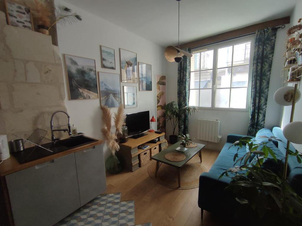 Il dispose d'une cuisine et d'un salon avec un évier et un canapé. dans l'établissement Appartement Cosy et de charme Tours centre, à Tours