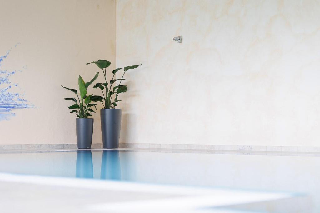 Fotografie z fotogalerie ubytování Boutiquehotel Ochsen v destinaci Lenzkirch