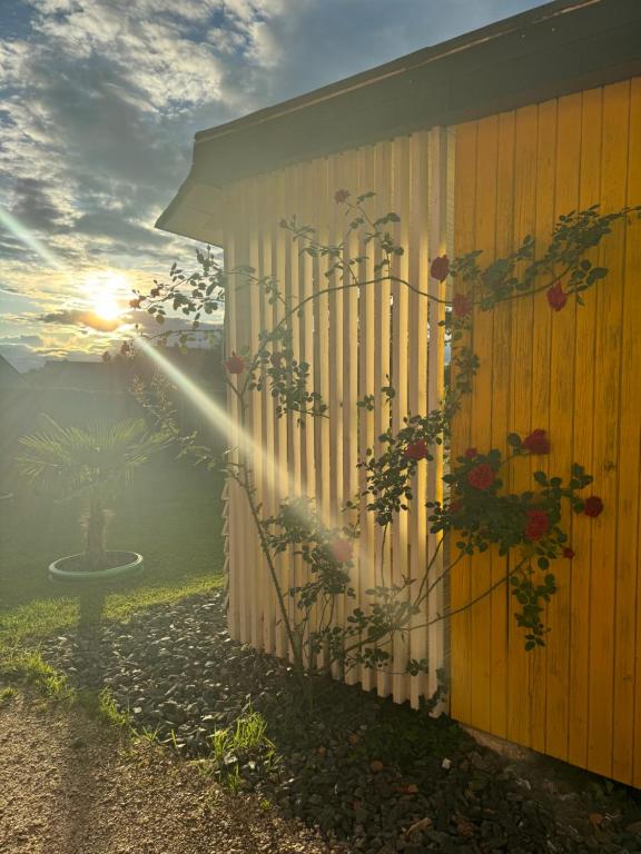 Fotografie z fotogalerie ubytování Bungalows Sonnenblume am Klopeiner See v destinaci Sankt Kanzian