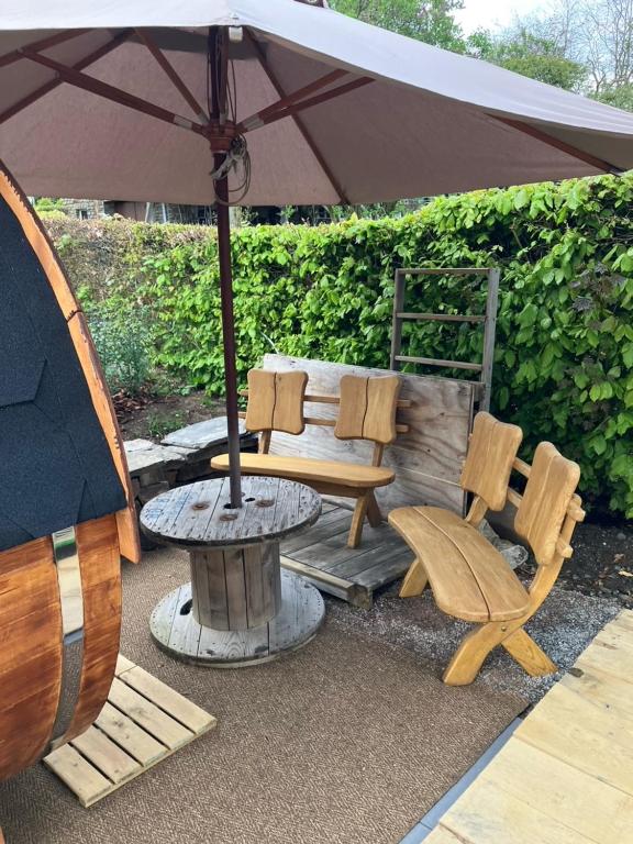 Patio nebo venkovní prostory v ubytování Grand appart familial Nature et Sauna - Le Terrier Ovifat