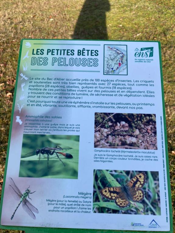 Фотография из галереи Le Lodge de Serenite в городе Cuffy