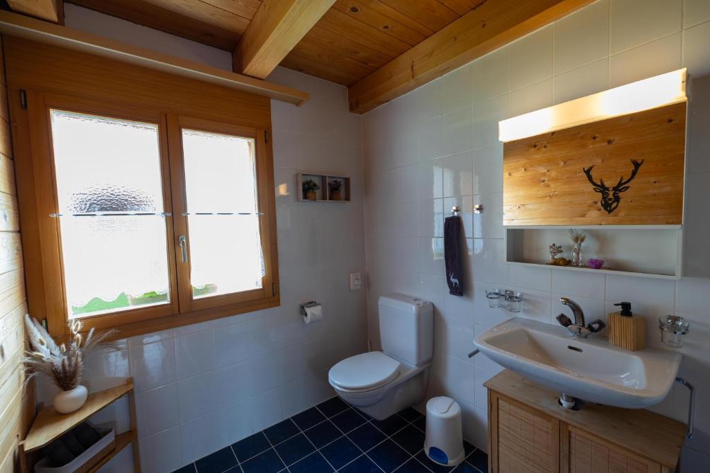 Koupelna v ubytování Chalet Regenbogen Leukerbad mit Indoorrutschbahn