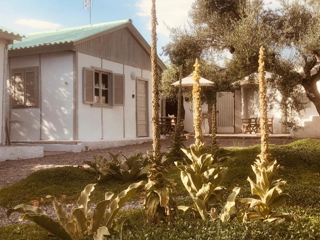 a house with a garden with plants in the yard at Barreira Beachfront Rooms 4 in Kalamata