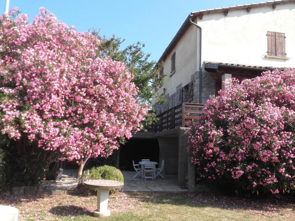 deux arbres à fleurs roses devant un bâtiment dans l'établissement Maison avec piscine, à Aubenas