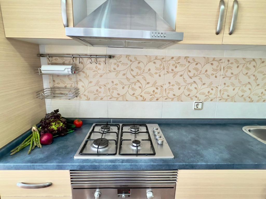 Kuchyň nebo kuchyňský kout v ubytování Nova Mar Bella Apartment