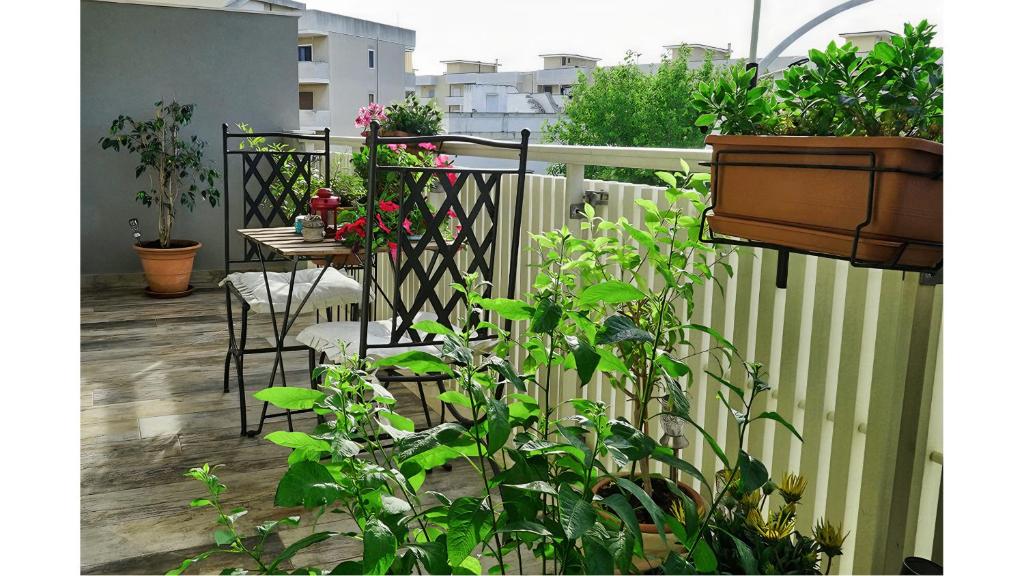 Rizzi Marianna B&B - 9