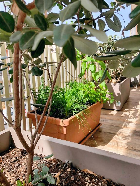 Rizzi Marianna B&B - 10