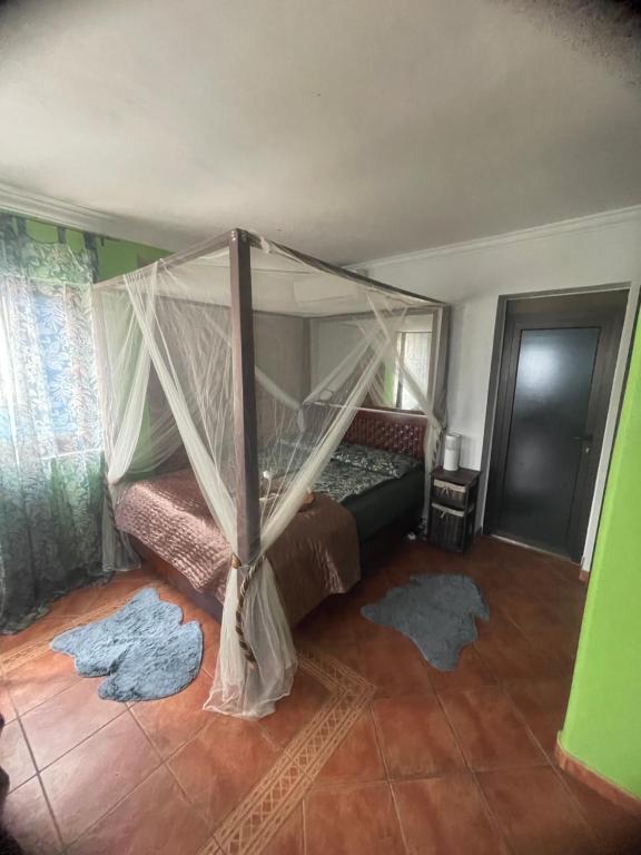 Apartments Villa Dinka - Stüdyo - Deniz Manzaralı