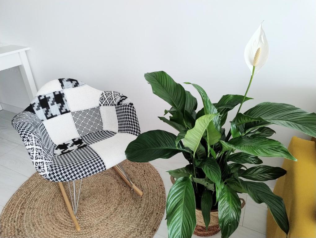 Apartament Sowia, bezpłatny Parking, Winda, Targi, Faktura VAT - 4