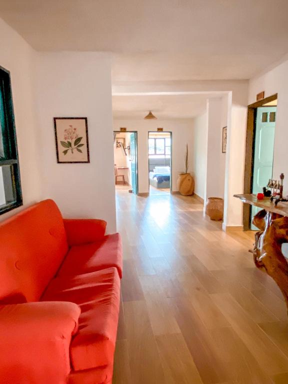 Posezení v ubytování La Rosa Nautica Hostel