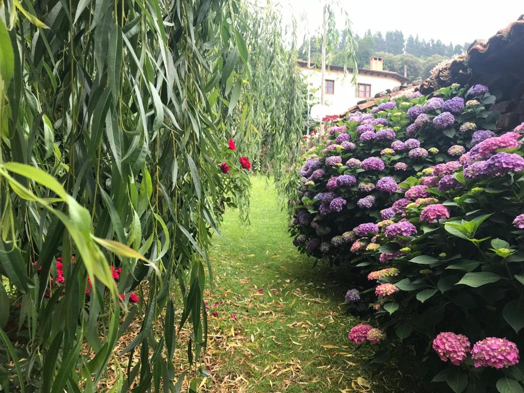 Zahrada ubytování Apartamentos Alquitara