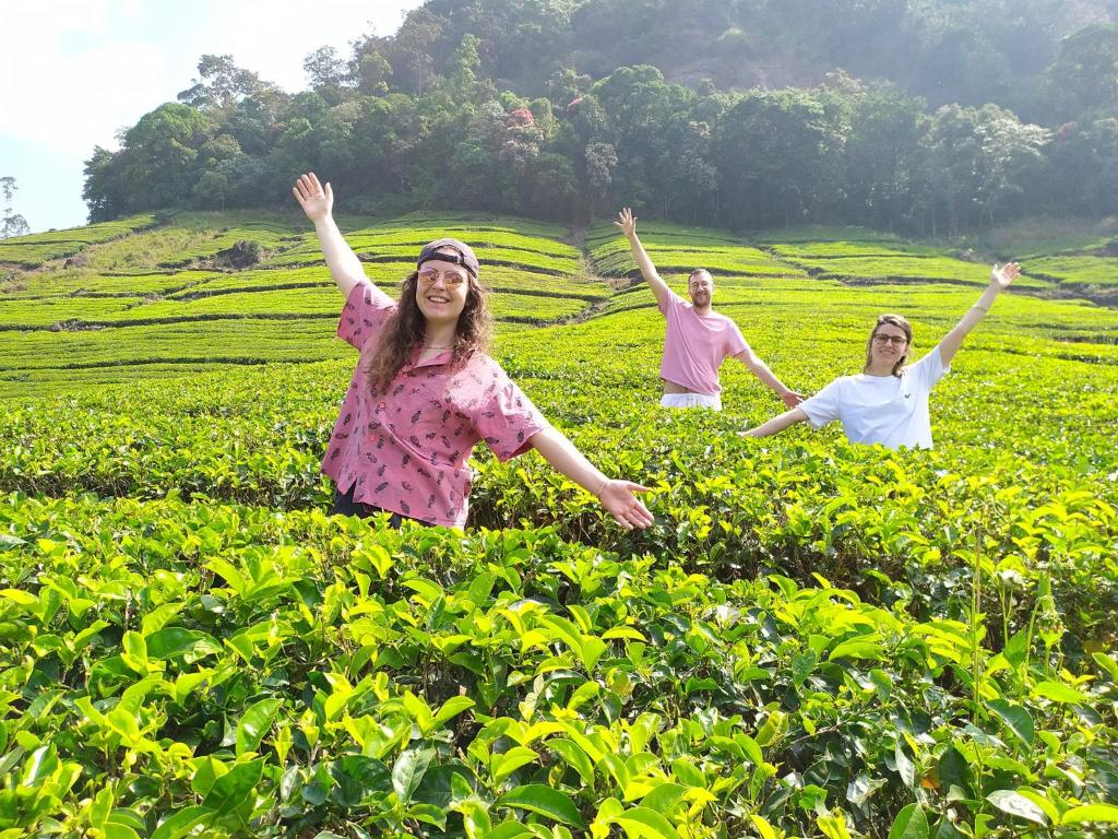 Hosté ubytování Forestscape Resort Munnar