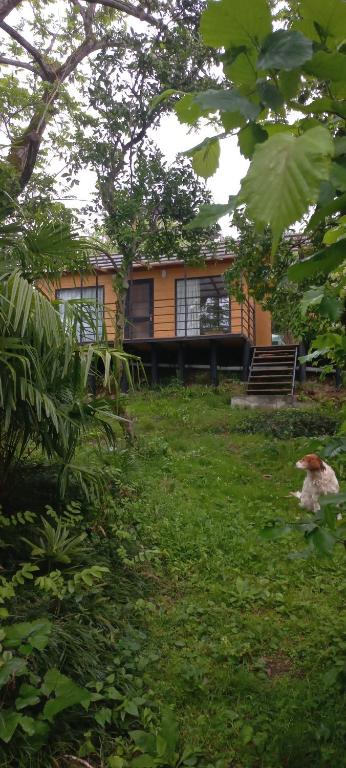 Φωτογραφία από το άλμπουμ του ANANIA Cottage στο Μπατούμι