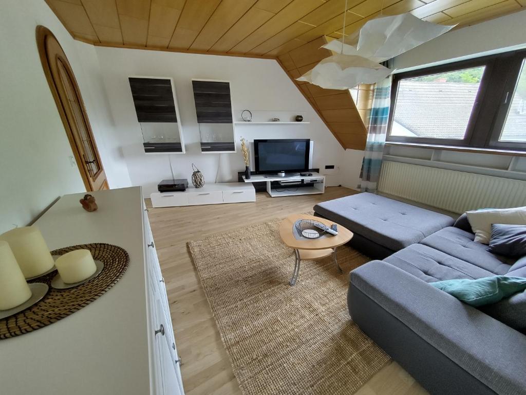TV a/nebo společenská místnost v ubytování Geräumige Wohnung in der Natur