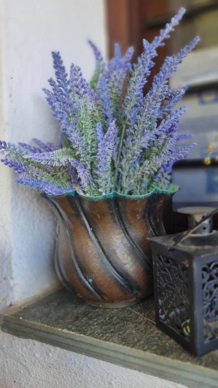 Fotografie z fotogalerie ubytování Guesthouse Eleni v destinaci Palaios Panteleimon