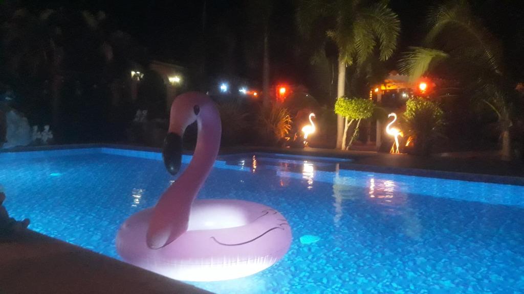 Bazén v ubytování Stella Resort nebo v jeho okolí