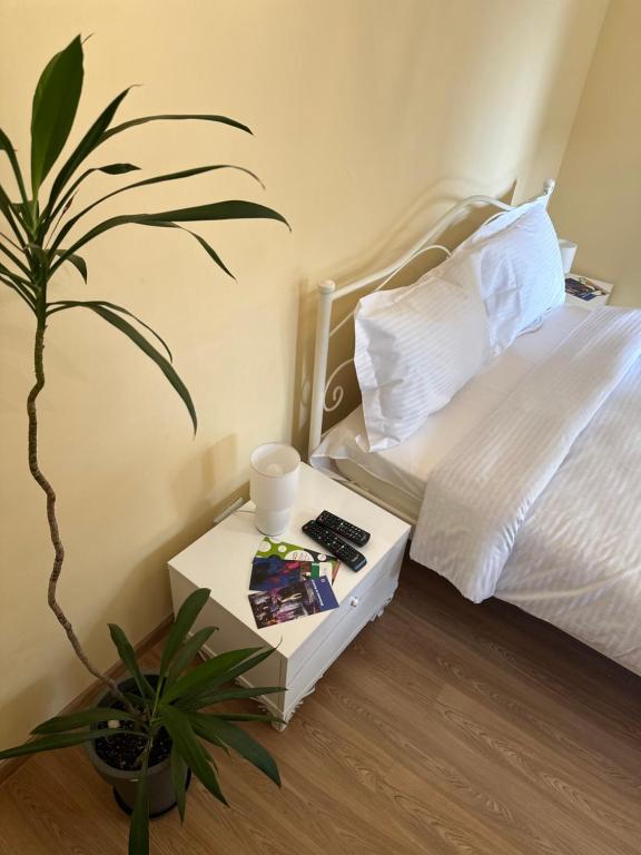 Postel nebo postele na pokoji v ubytování Green ToniC Hostel