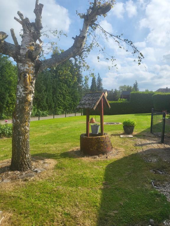un nourrisson d'oiseaux dans un parc avec un arbre dans l'établissement Ferienwohnung Mosel Hunsrück, à Moritzheim
