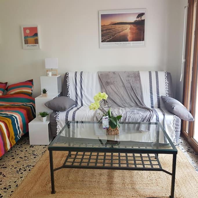 un salon avec un canapé et une table en verre dans l'établissement Studio calme cadre nature à proximité des plages, à La Seyne-sur-Mer