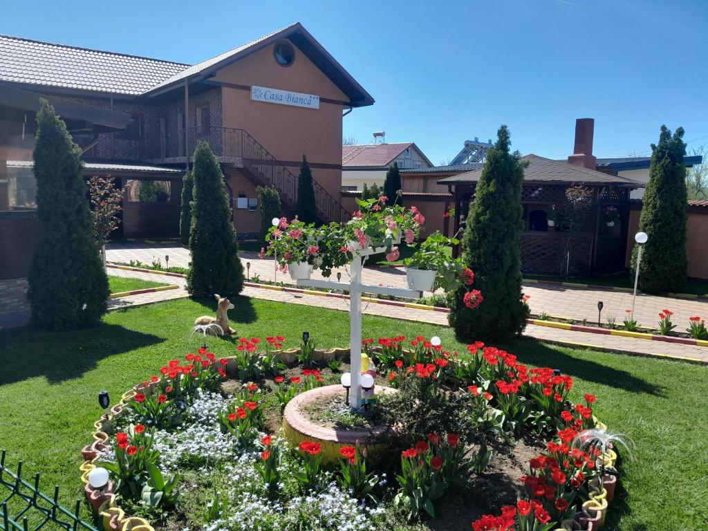 Pensiunea Bianca - Housity