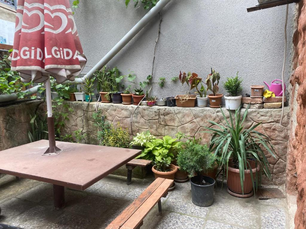Zahrada ubytování Hillside Guesthouse