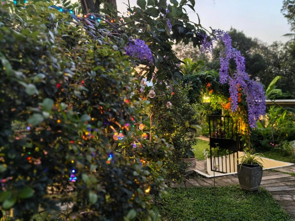 ???????????? - Resim 36