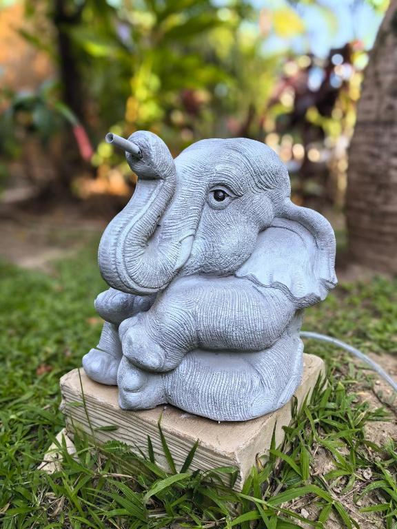 ???????????? - Resim 22