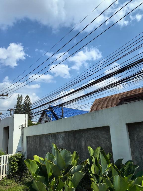 ???????????? - Resim 15