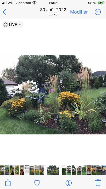 two pictures of a garden with flowers and plants at Oasis de la rivière in Saguenay