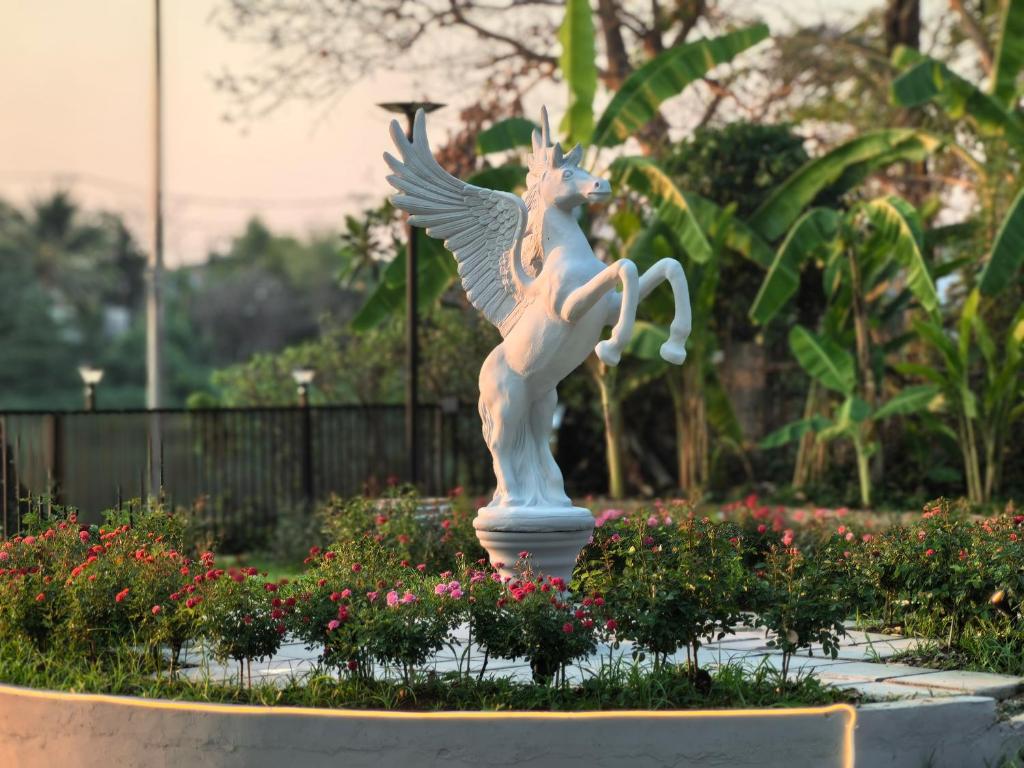 ???????????? - Resim 3