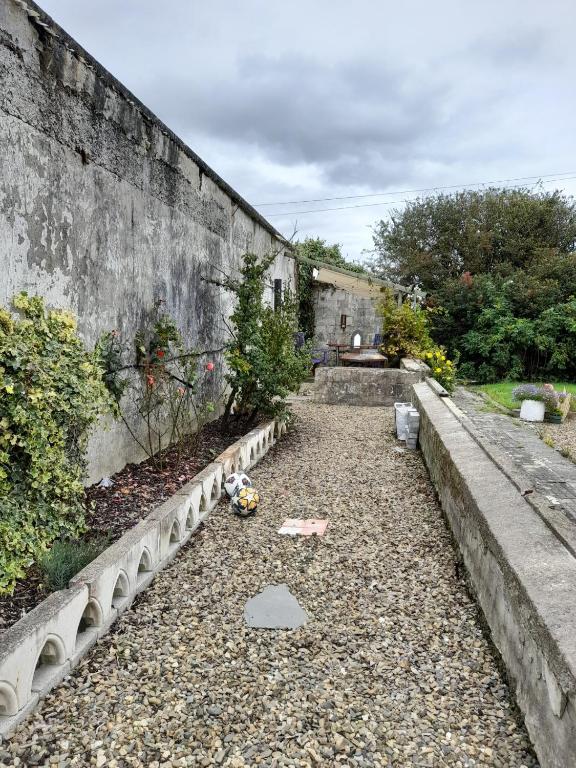 Zahrada ubytování Tir Beag Eile