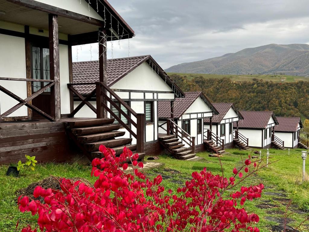 szereg domów z czerwonymi kwiatami na pierwszym planie w obiekcie Kolochava Eco Resort w mieście Kolochava