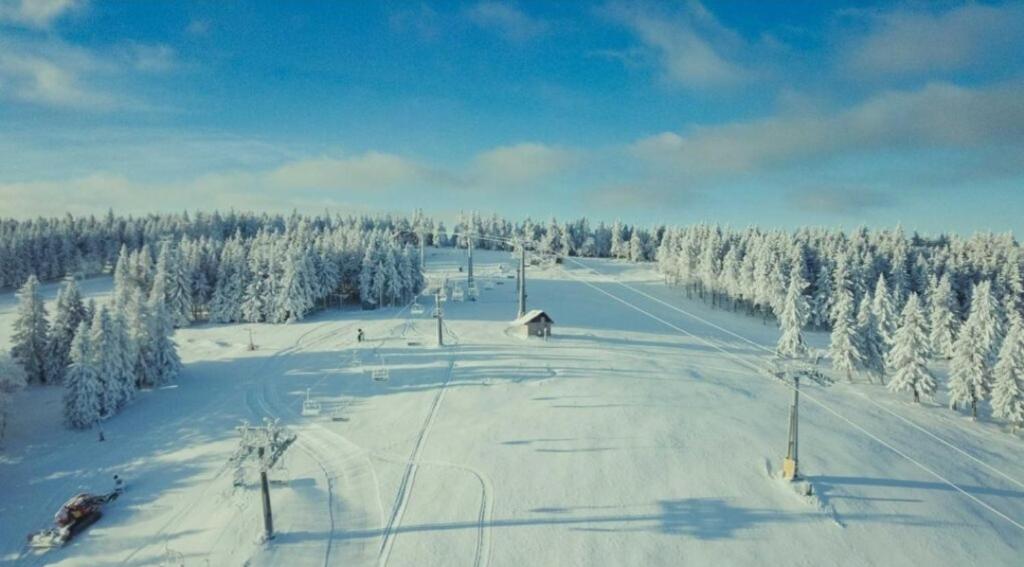 śnieżny stok narciarski z drzewami i wyciąg narciarski w obiekcie Apartament Stroma w mieście Duszniki Zdrój