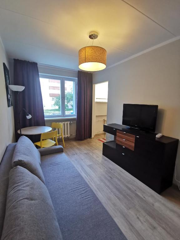 TV a/nebo společenská místnost v ubytování Seersant apartment studio