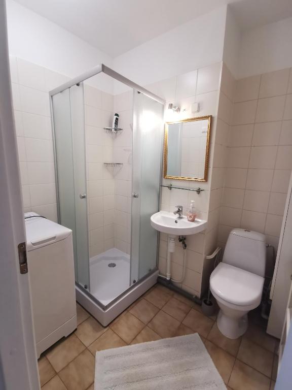 Koupelna v ubytování Seersant apartment studio