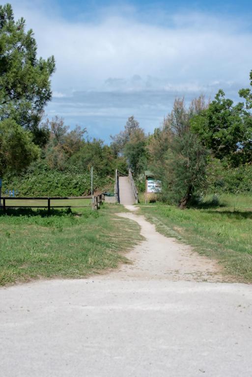 Příroda nedaleko prázdninového domu
