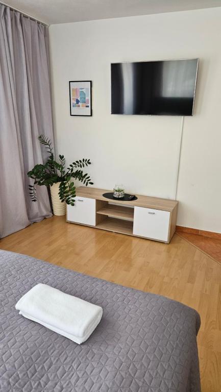 TV a/nebo společenská místnost v ubytování Apartmány v Zlatej uličke