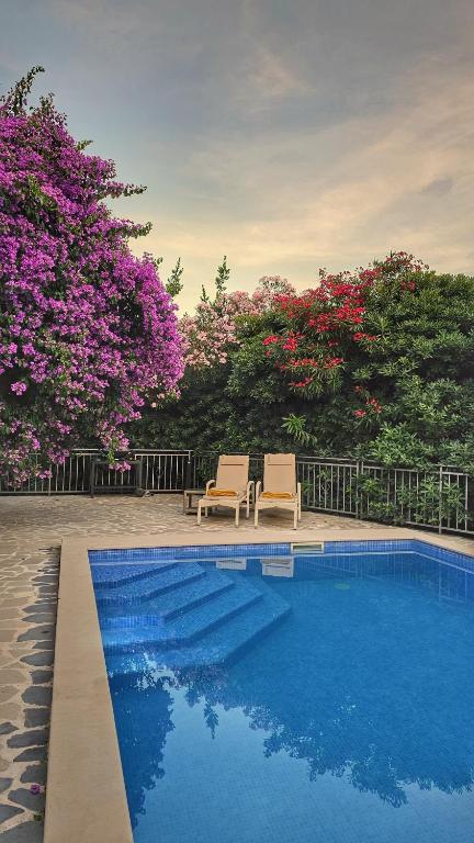 a swimming pool with two chairs and trees with pink flowers at Villa Sazanka with private pool in Kamenari