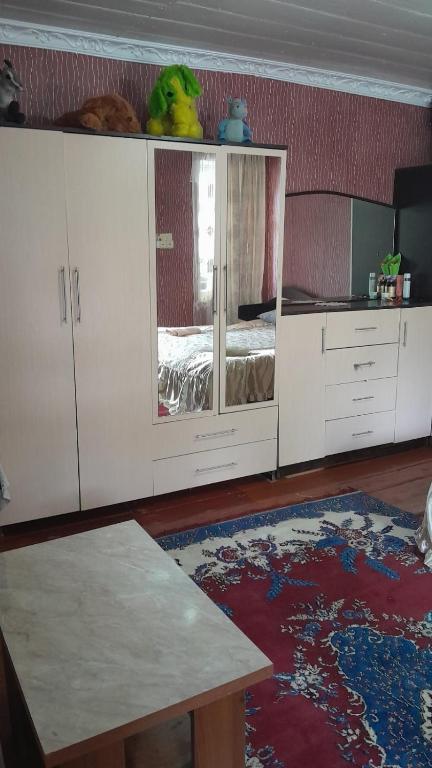 Kuchyň nebo kuchyňský kout v ubytování Guest House Tengo