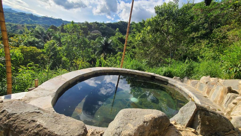 a pool of water in a rock wall at Colibamboo the Loft habitación privada con jaccuzi in Pacho