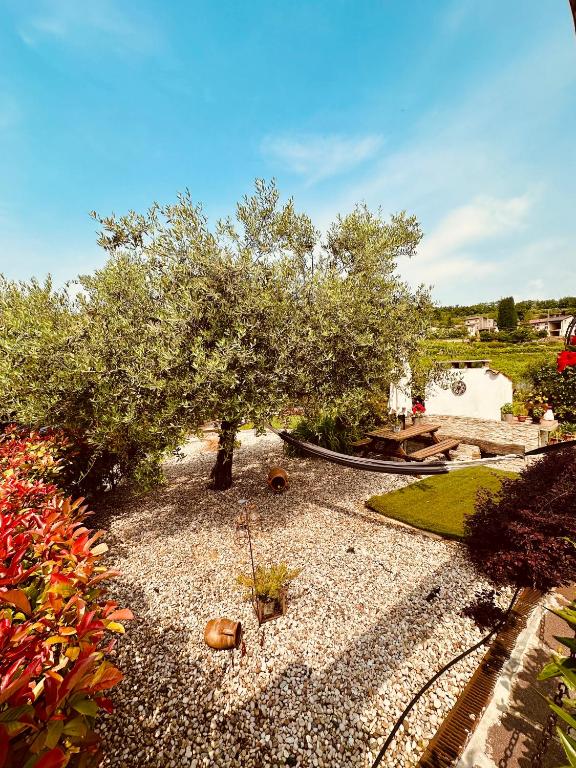 Zahrada ubytování Corte Soave Apartment